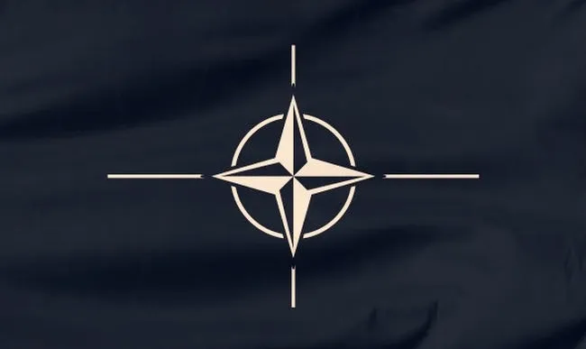 Jakie kraje towarzyszyły Polsce w drodze do NATO?