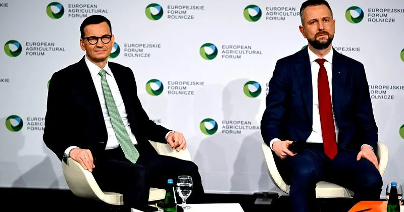 Emocje w polityce