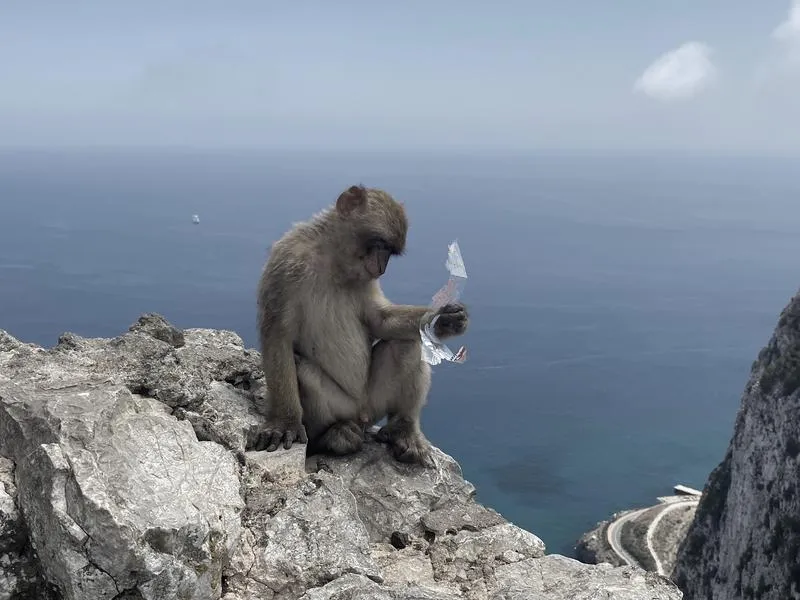 Gibraltar i Unia Europejska