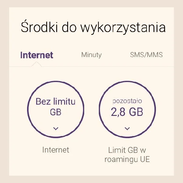 Internet w roamingu