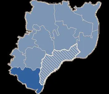 Oficjalne wyniki wyborów