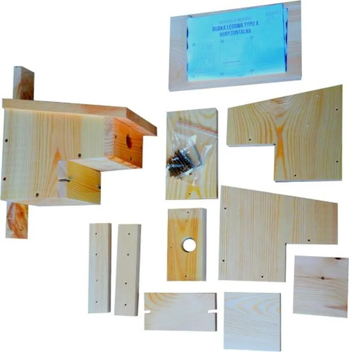 Polityka horyzontalna