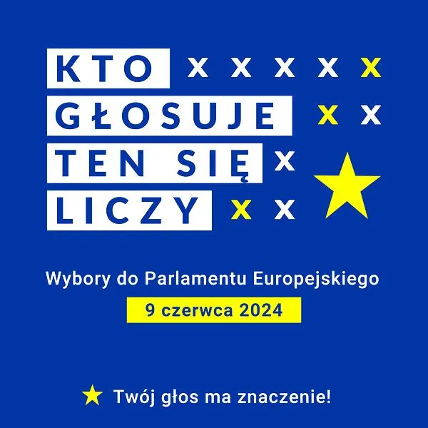 Rola Parlamentu Europejskiego