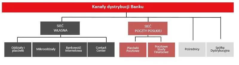 Strategia marketingowa a dystrybucja