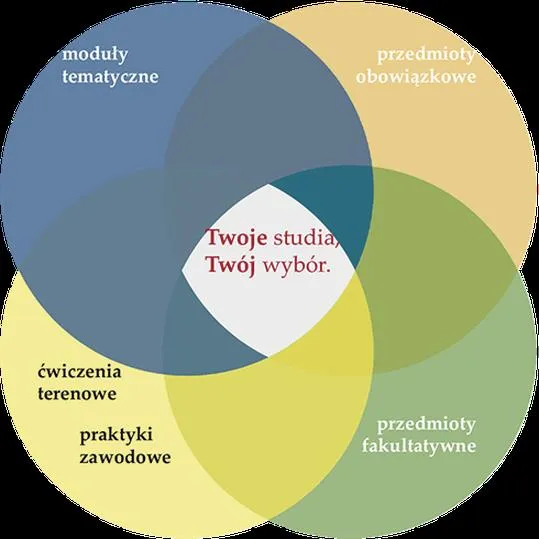 Studia społeczne