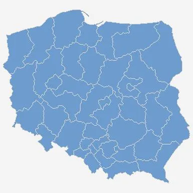 Wybory 2011