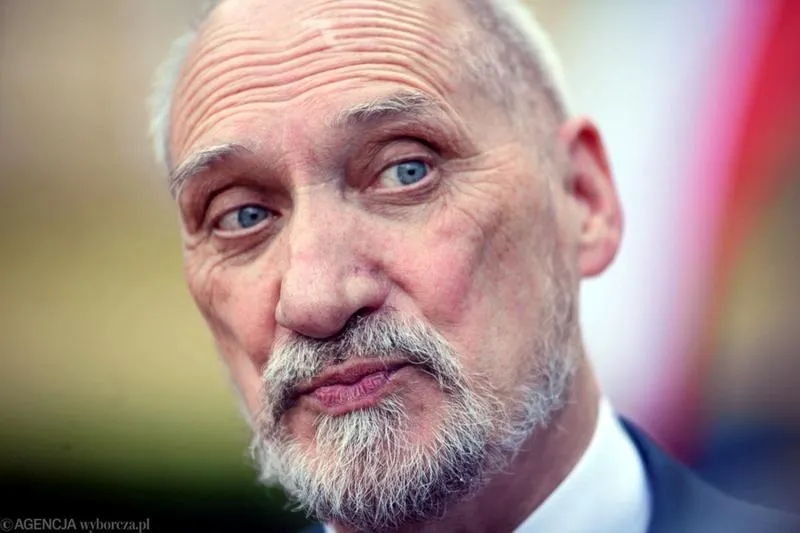 Wybory 2026
