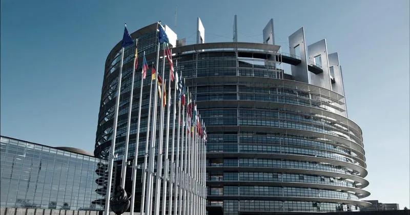 Wybory do europarlamentu