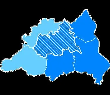 Wybory w Piasecznie