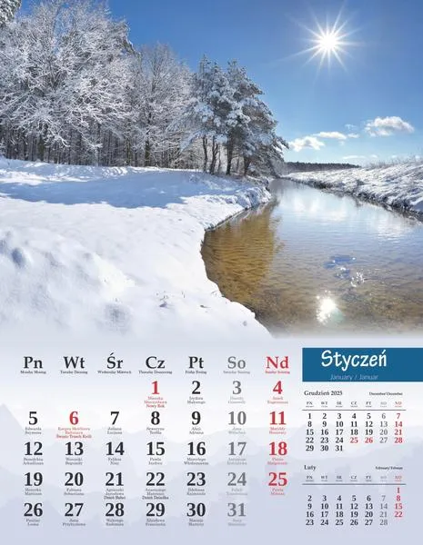 Wybory w Polsce 2026